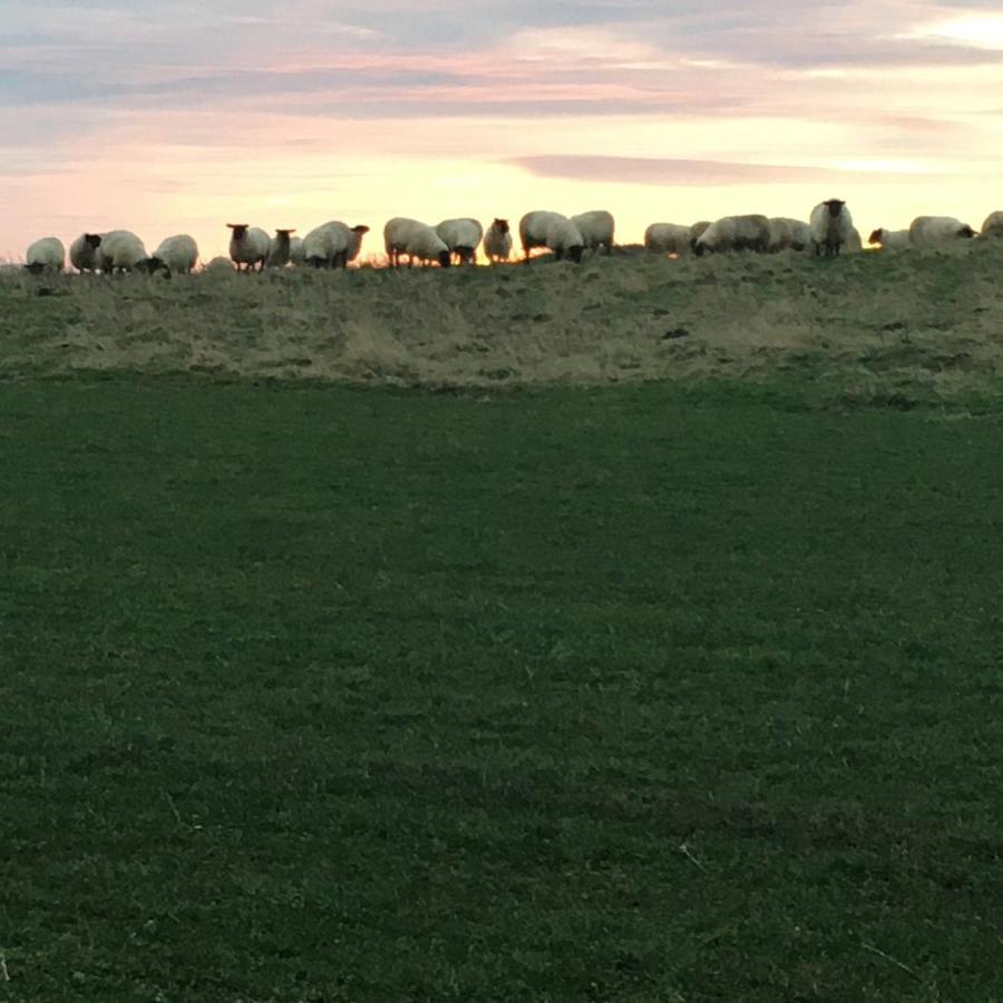 Buckton Farmhouse Belford Εξωτερικό φωτογραφία