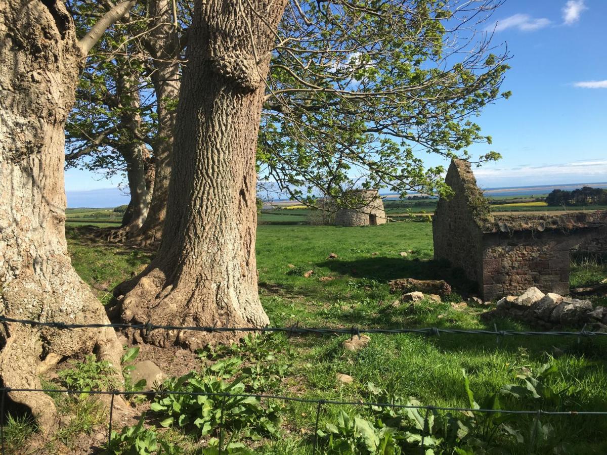 Buckton Farmhouse Belford Εξωτερικό φωτογραφία